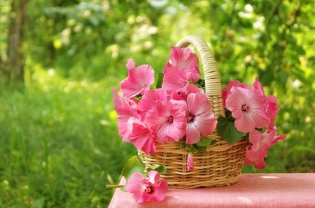 Pretty Pink Flowers - pretty, summer, grass, pink, leaves, flowers, pink flowers, trees, beautiful, photography, table, pink petals, summer time, beauty, lovely, still life, sweet, petals, tree, basket, nature, green