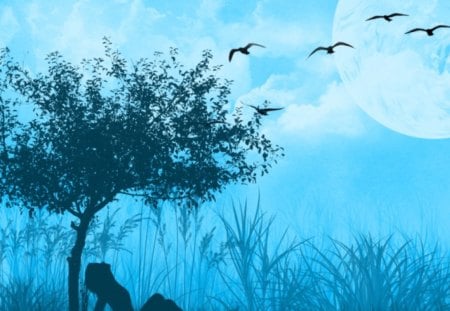 blue-skies - moon, turquoise, forest, birds