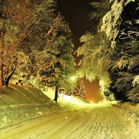 Winter night path