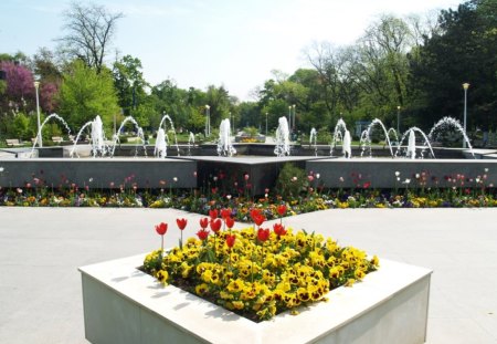 Romania, Bucharest, Park - water, park, nature, fountain, romania, yellow, bucharest, red, green, tree, flower