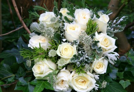 Green and white - white, roses, green, tenderness, flowers, bouquet