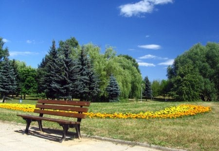 Romania, Bucharest, Park - yellow, summer, blue, romania, bucharest, flower, tree, cloud, sky, park, bank