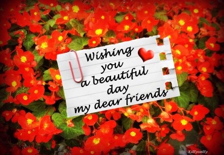 â™¥     A Beautiful Day To Everyone     â™¥ - beautiful day, red flowers, sommer, collages, nature, abstract, red, friendship, flowers, friends