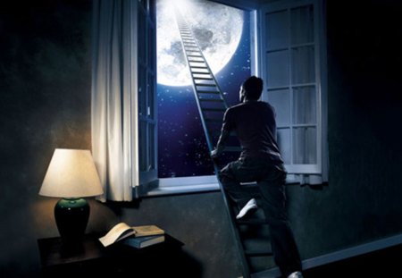 ladder to the moon - moon, light, climb, window