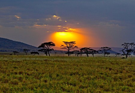 SAVANNAH SUNRISE - sunset, kenya, savannah, sunrise, africa