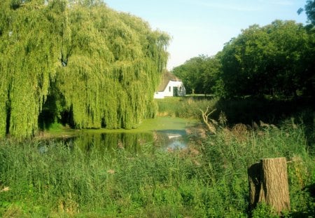 Farm - abstract, trees, pond, green, photography, farm