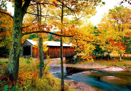 Waterville village - nice, cottage, autumn, trees, waterville, riverbank, peaceful, water, stream, colorful, creek, calmness, river, house, golden, grass, lovely, nature, village, forest, beautiful, leaves, cabin