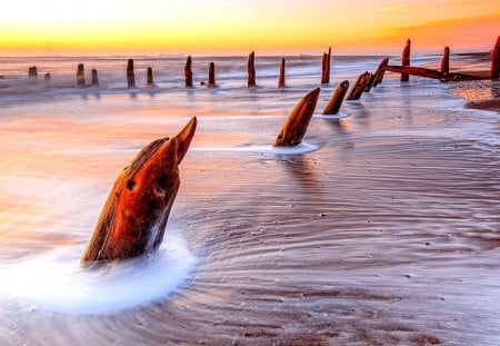 SEA SHORE - nature, sunset, stumps, shore, sea