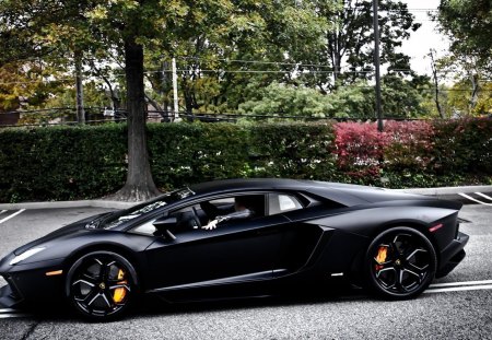 lambroghini aventador - street, black matt, trees, car