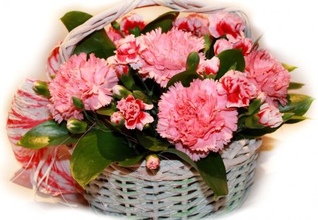 Carnation basket - carnation, basket, nature, arrangement, pink