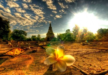 TEMPLE SITE SCENE - near chiang mai, sky, scenic, landscape, lens flare, chiang mai, thailand, temple, asia, flower, backlit