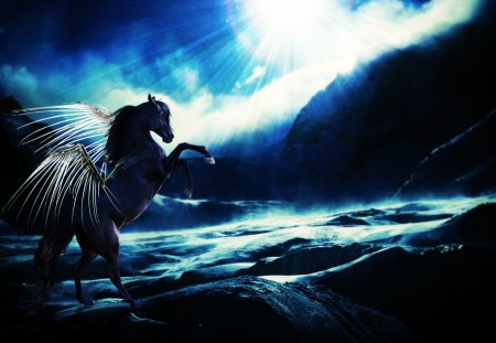 Black Stallion - abstract, art, digital, beautiful