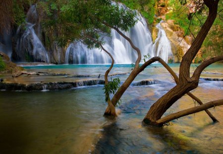 Beautiful Escape - nature, trees, river, water, tropical, waterfall