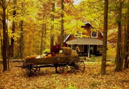 autumn landscape - pumpkins, cart, foliage, cottage