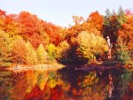 Reflected Autumn Colors