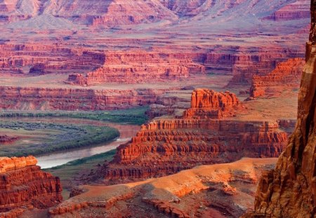 river in red canyon - canyon, bushes, cliffs, river