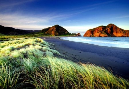 THE BEACH - rock, plants, ocean, beach