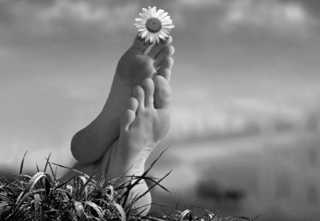 END OF SUMMER ... - photography, wp, summer, bw, feet, daisies