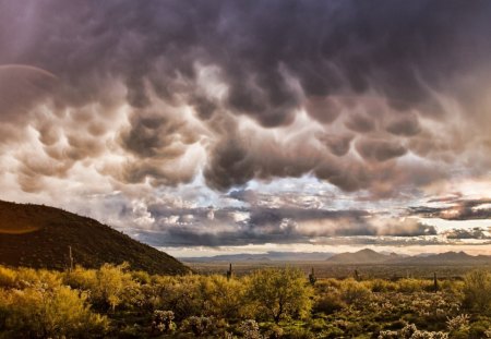 pillow clouds over a desert - cactus, hill, sunray, clouds, desert