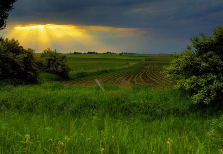 heavenly lights - sunrays, clouds, fields, trees, rural