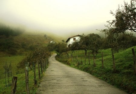 houses in the fog - fog, hill, houses, road