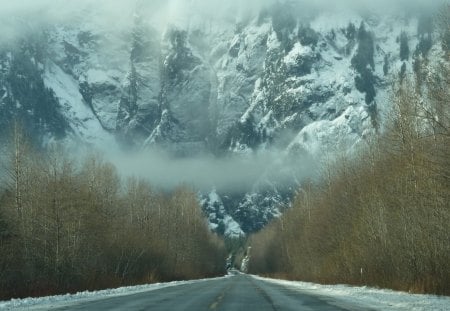 road to ice mountain - ice, trees, mountain, fog, road