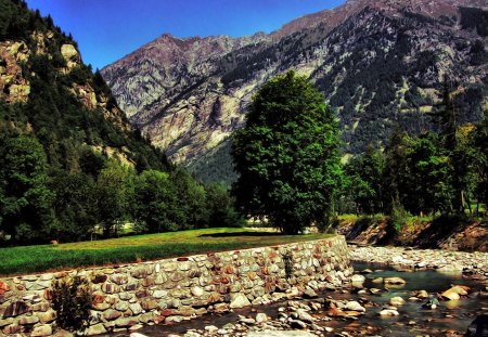 Alpine river - tree, alpine river, wallpaper, mountain