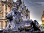 lion at trafalgar square hdr