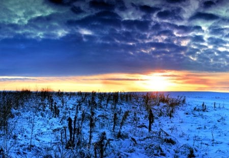 great winter sunset - clouds, winter, sunset, plains, grass