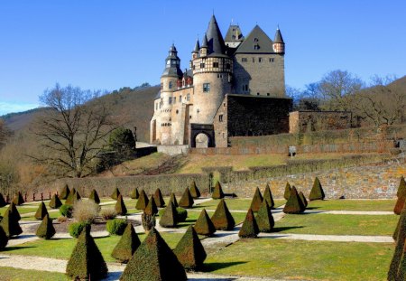 castle with arrowhead bushes - garden, hill, bushes, castle