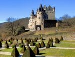 castle with arrowhead bushes