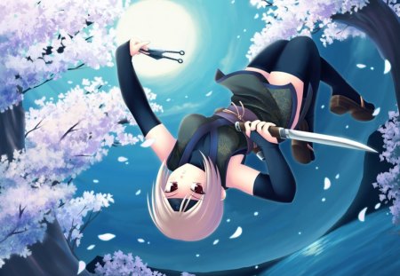 Ninja - ninja, moonlight, cherry blossoms, female