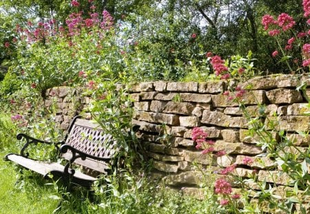 The Bench - wall, bench, nice, grass