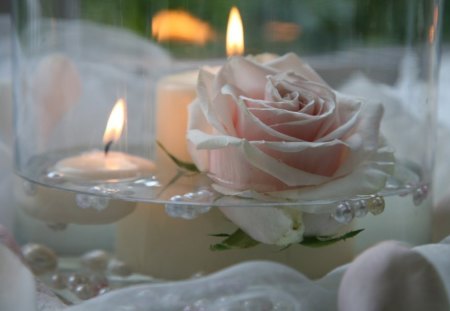 Delicate♥ - delicate, relaxing, forever, spa, soft pinl, evening, fashion, romance, love, light, precious, burning, rntertainment, candles, pale