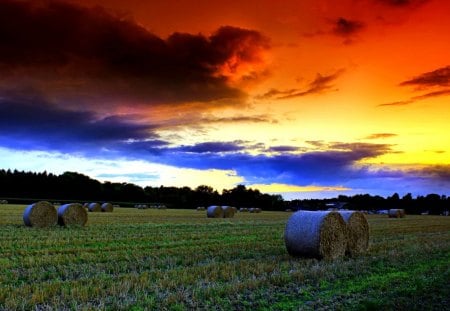 SUMMER SUNSET - sky, hay, landscape, field, sunset