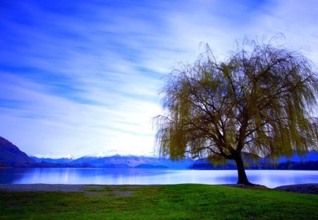 STANDING ALONE - landscape, lake, mountains, tree