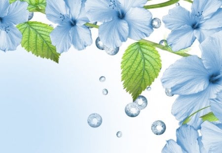 Tears of flowers - sadness, tears, blue, beautiful, leaves, flowers, drops