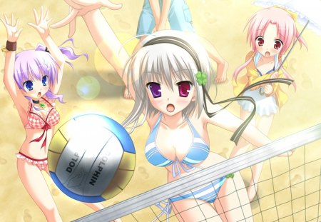 Beach Volleyball - breasts, play, female, beach, hairband, white hair, male, short hair, umbrella, bikini, beach volleyball, three girls, jump, pink hair, purple hair, anime girl, swimsuit, ball, hot, blush, cool, cute, volleyball, sexy