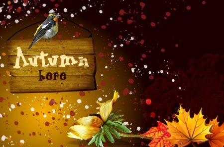 Autumns Here - bird, sign, scatter, brown, gold, fleurs, orange, leaves, sprinkles, flowers, fall, autumn, bright, amber