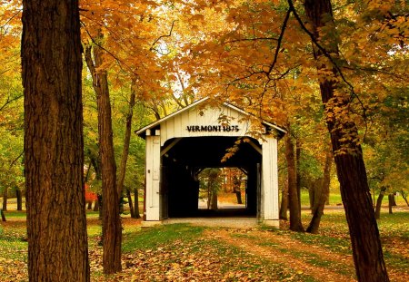 Vermont bridge - calm, vermont, forest, alleys, leaves, garden, nice, branches, trees, beautiful, lovely, usa, nature, autumn, serenity, america, foliage, bridge, park, patyh