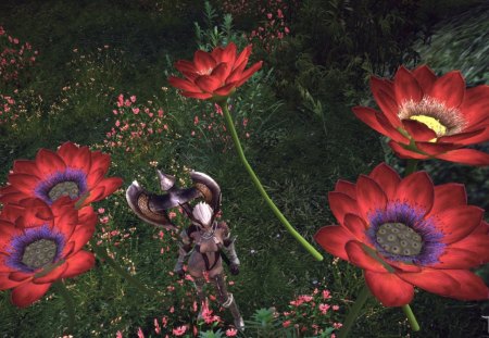 Tera - fantastic, poppy, warrior, realm, girl, tera online, flower, giant, fantasy, red, green, woman, princess, field