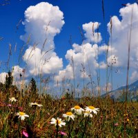 RAXALPE  AUSTRIA