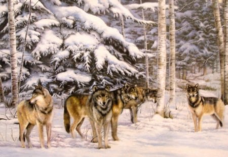 wolves in winter - wolves, forest, trees, snow