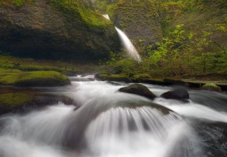 beautiful fast moving spring in oregon - trees, falls, moss, sprinf, rocks