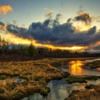 wetlands at sundown