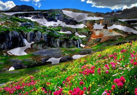 MOUNTAIN BLOSSOMS - nature, mountains, flowers, landscape