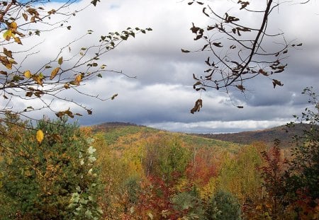 autumn #1 - clouds, fall, trees, autumn, industry, maine, sky