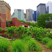 ***NEW YORK ***