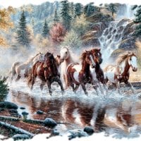 Stream Running - Horses F5mp