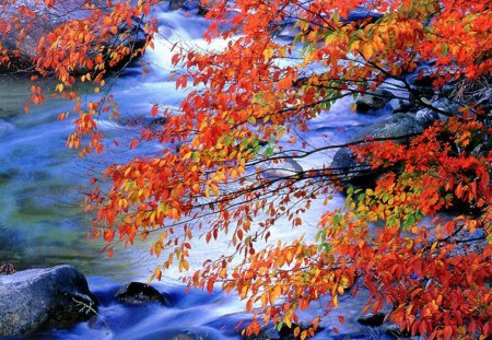 Autumn - water, stream, orange, leaves, tree, fall, river, waterfall, fire, autumn, red, color, leaf, rocks